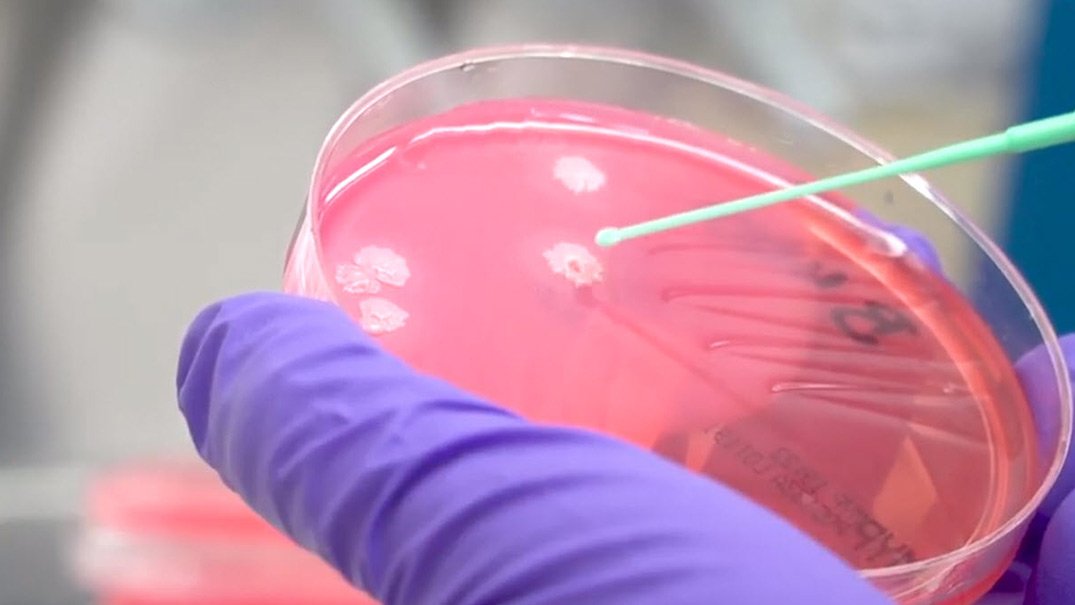 Vídeo Nestlé Institute of Food Safety & Analytical Sciences