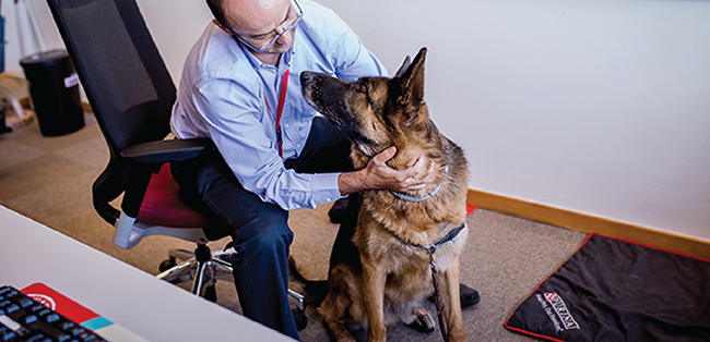 PURINA Pets At Work Alliance