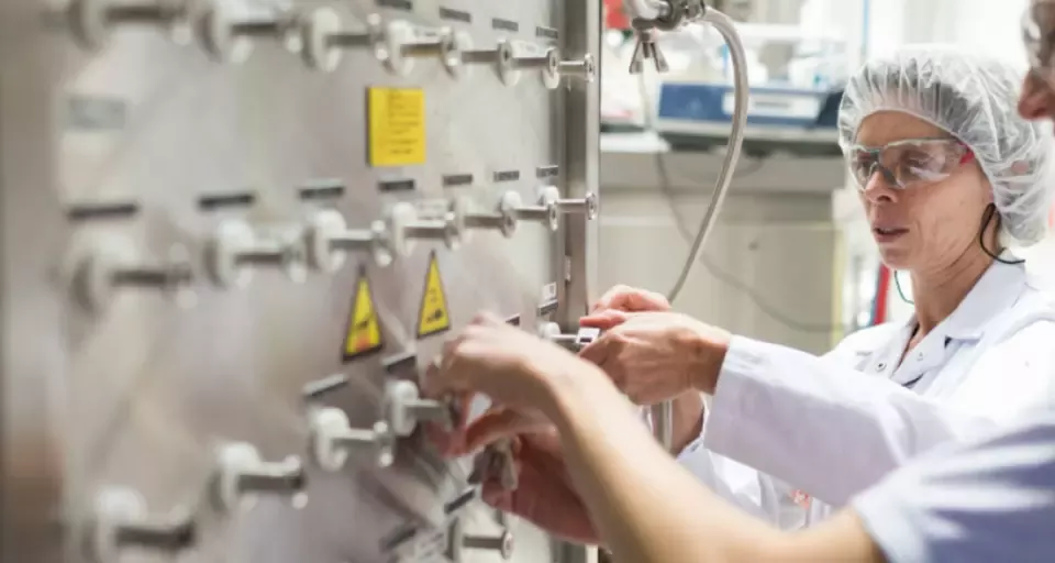 trabalhadores na fábrica