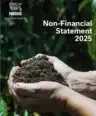 Non-financial 2025