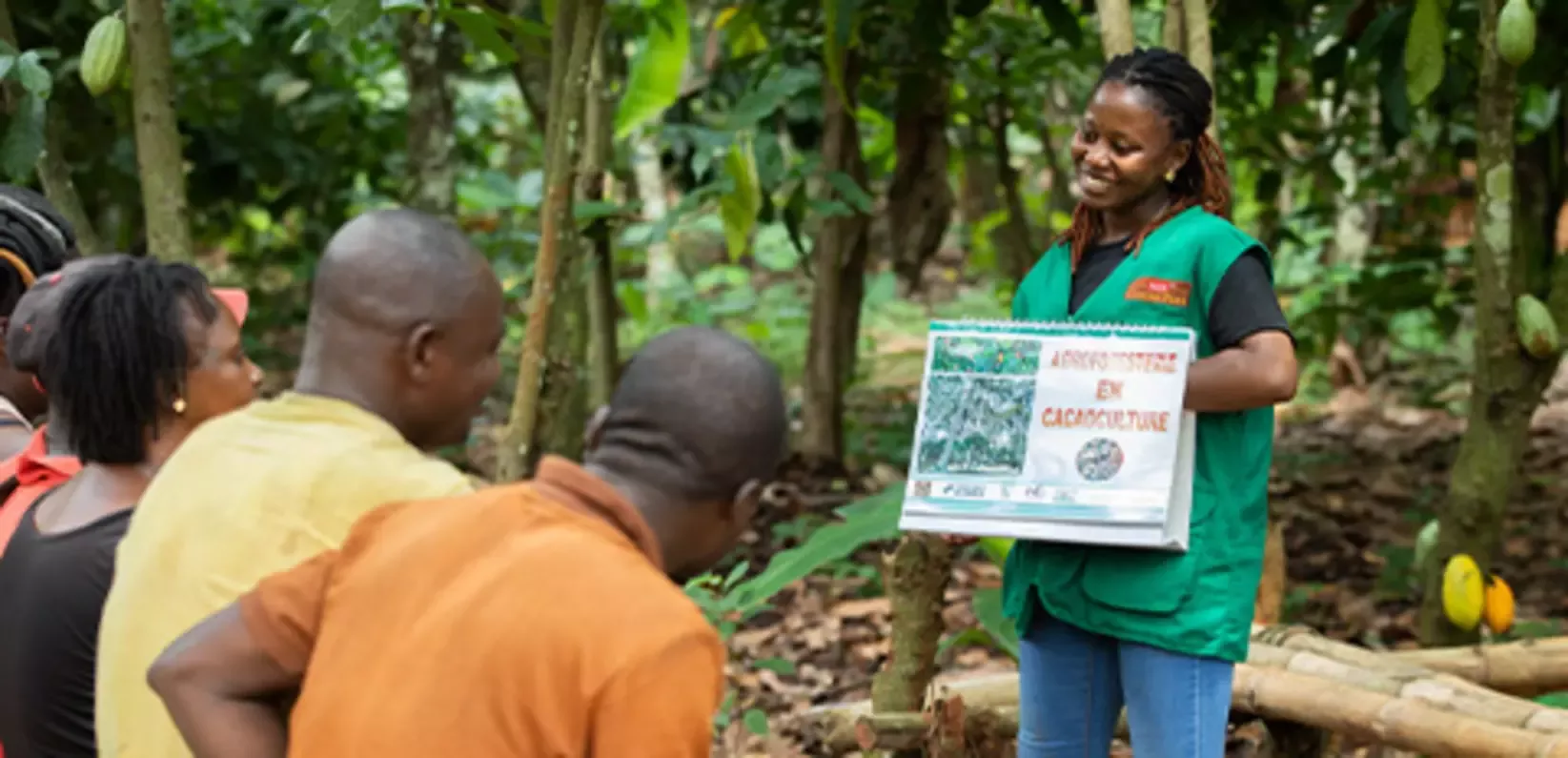 sustainability-raw-materials-cocoa-collaboration