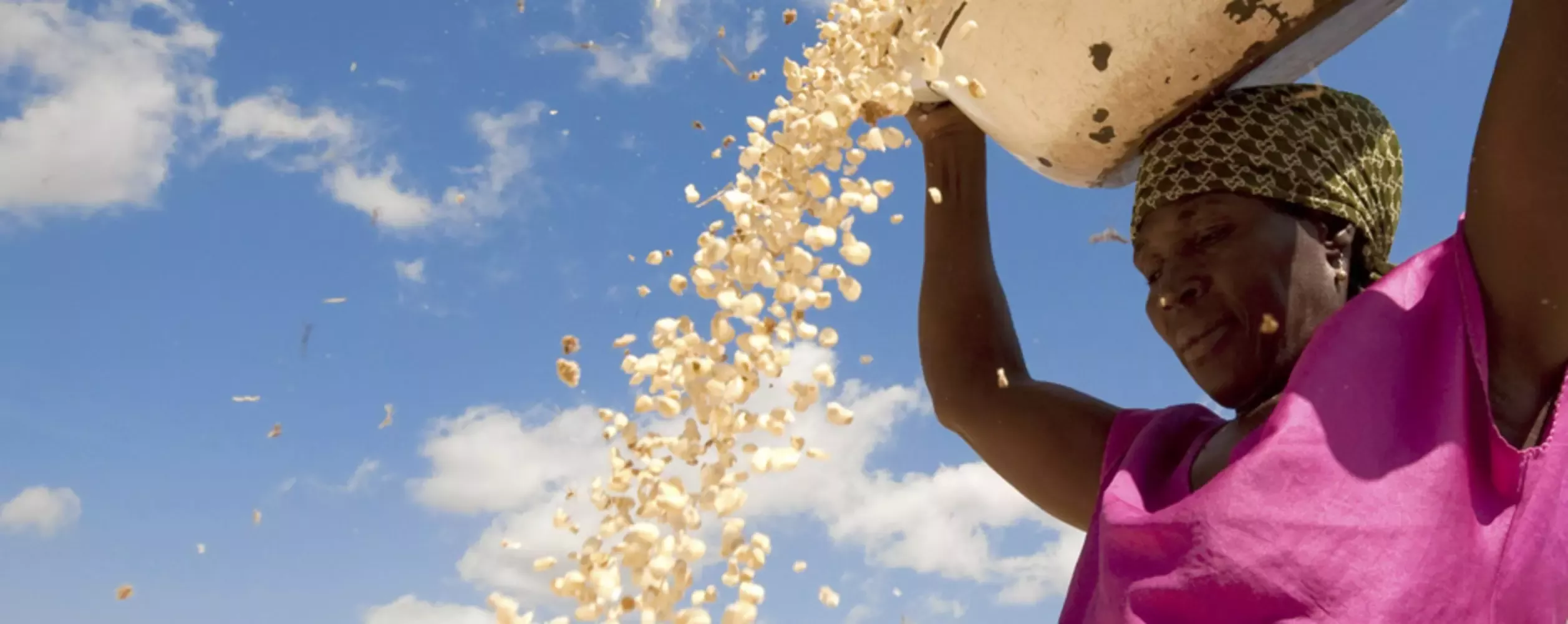 Novela na Africa Ocidental