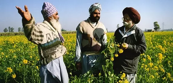 Agricultores da Sustainable Agricultural Intiative Nestlé