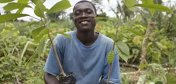 Agricultor do Nestlé Cocoa Plan
