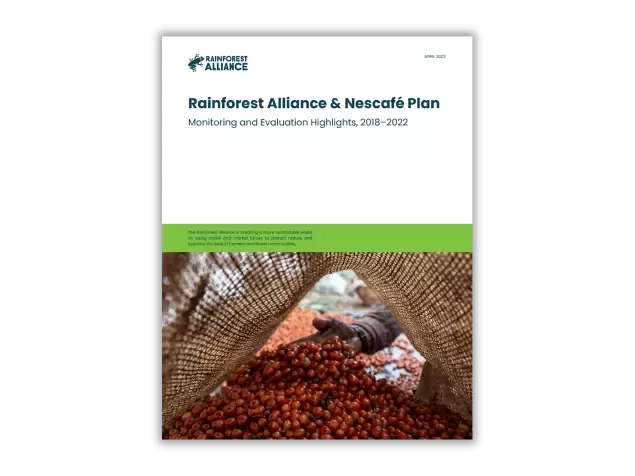 Capa do Relatório de Avaliação de Impacto do Nescafé Plan 2030 pela Rainforest Alliance