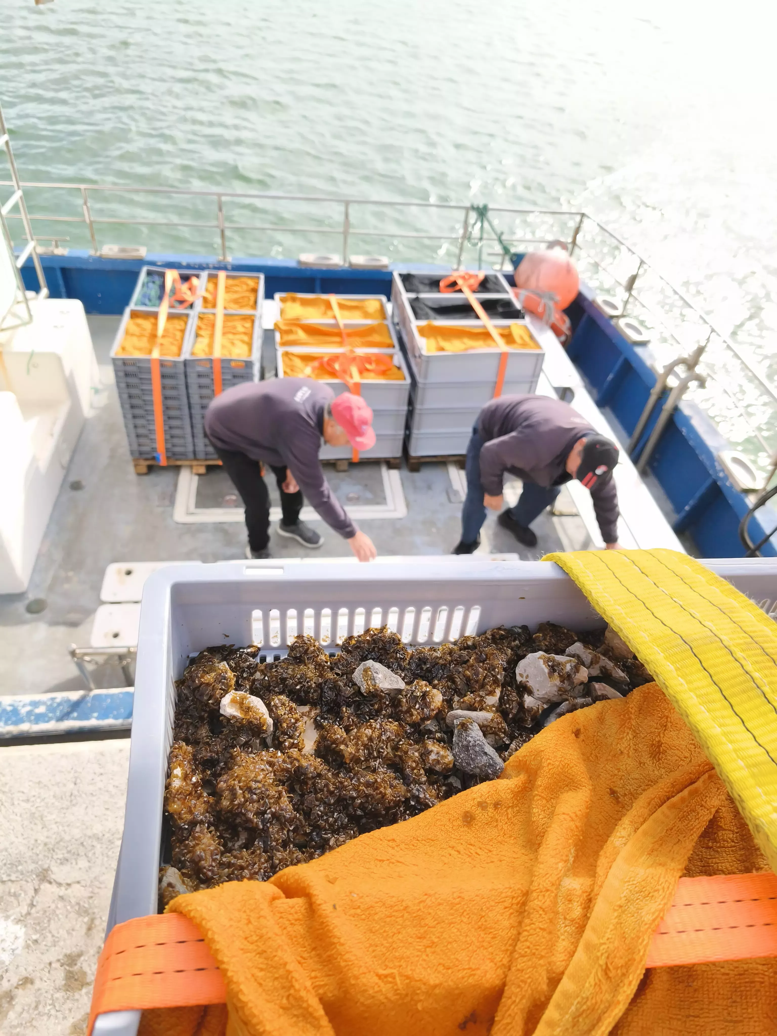 PURINA tecnologia G3 oceanos