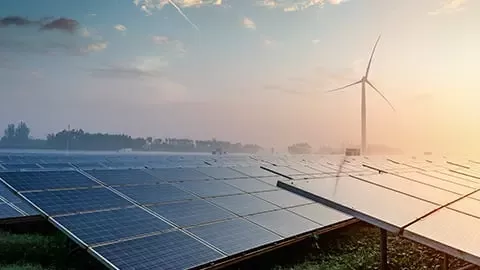 sustainability-climate-net zero-card-bottom