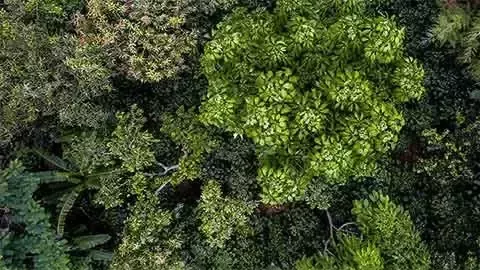 sustainability-nature-forest-positive-card-bottom