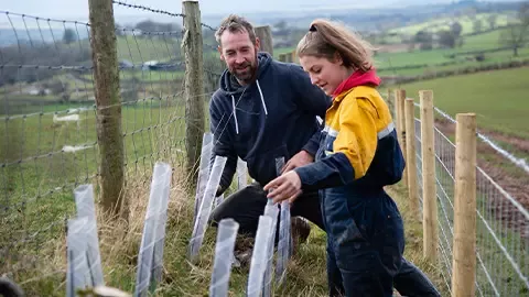 Jovem agricultor a plantar sebes numa exploração agrícola.