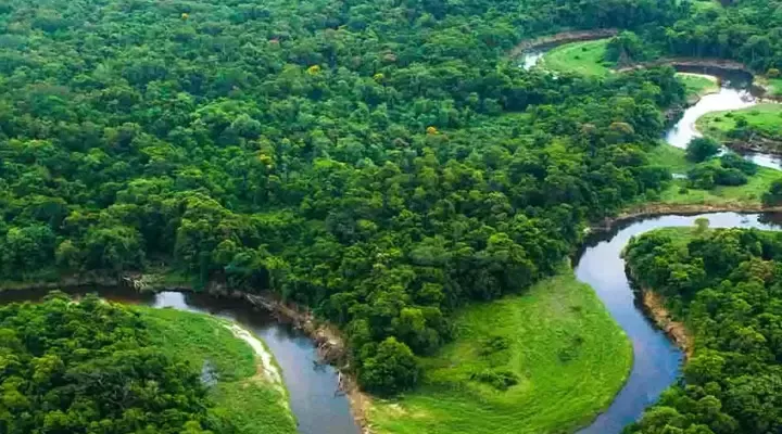 Rio entre árvores numa floresta