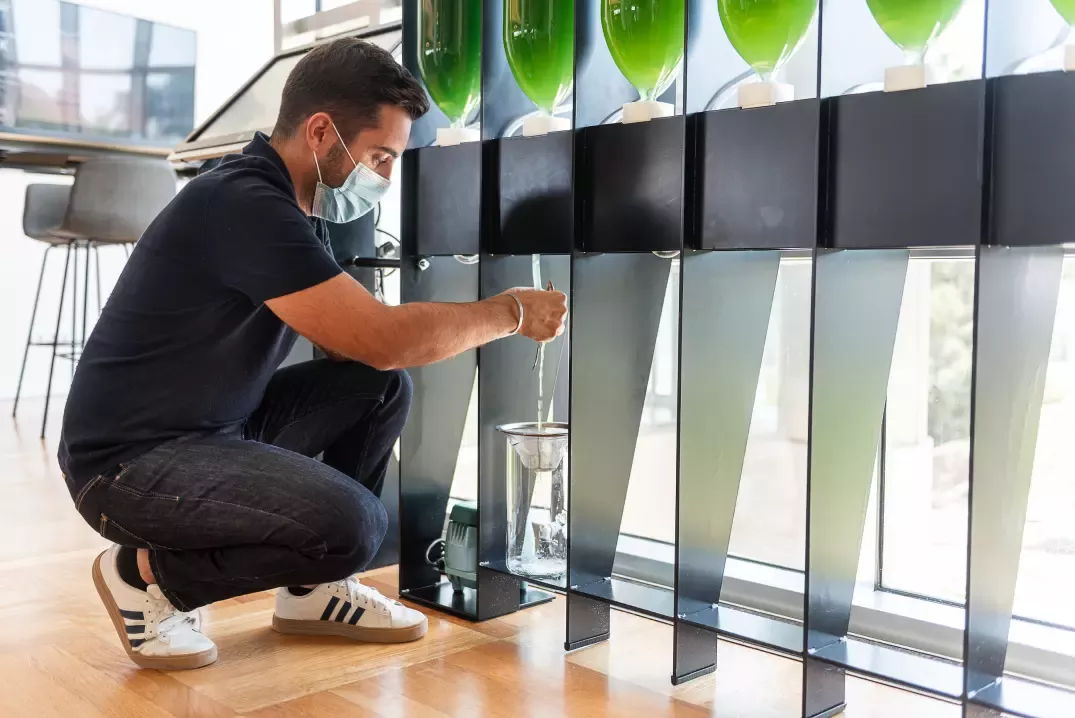 Microalgae Bio-Buildings