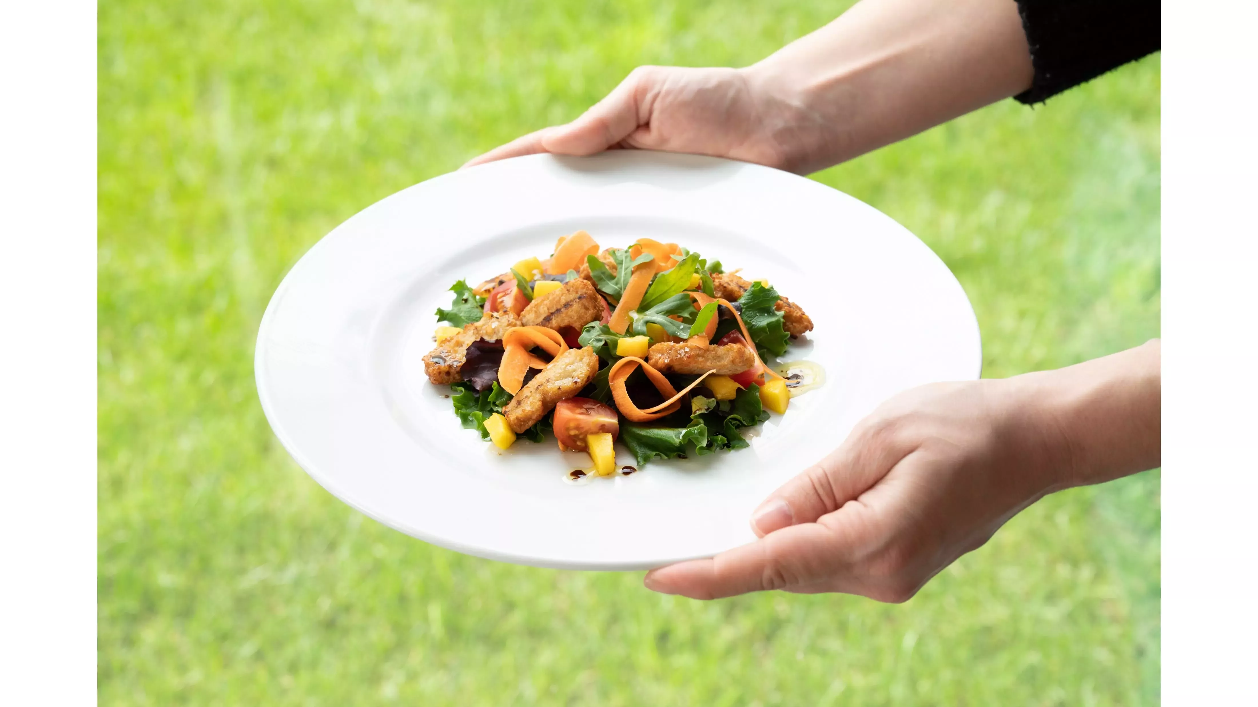 Refeição em prato com tiras braseadas GARDEN GOURMET