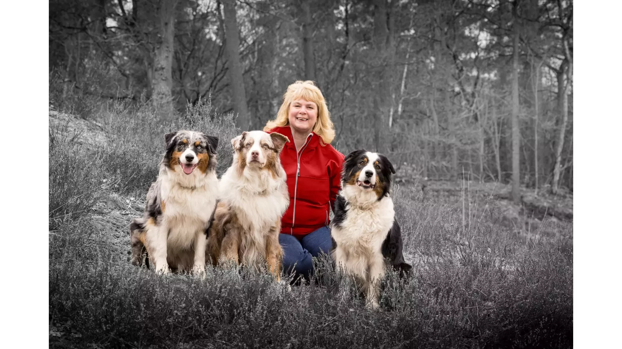 Mulher com 3 cães no campo