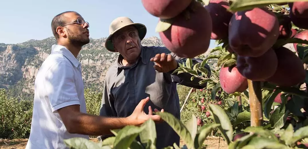 Agricultores junto a árvore de fruto