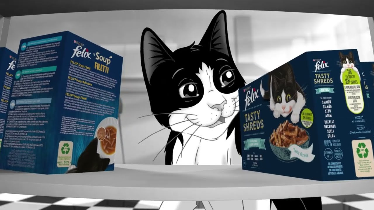 FELIX, É incrível a vida de gato | Atrás da porta mágica
